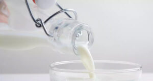 Grippe aviaire : des traces du virus détectées dans du lait cru et pasteurisé