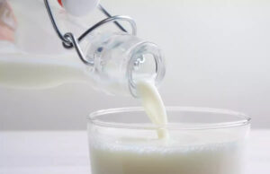 Grippe aviaire : des traces du virus détectées dans du lait cru et pasteurisé