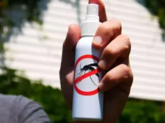 C’est le produit anti-moustiques le plus efficace selon 60 millions de consommateurs