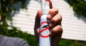 C’est le produit anti-moustiques le plus efficace selon 60 millions de consommateurs