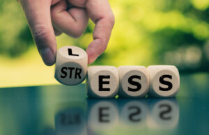 Stress quotidien : ces 6 techniques pour gérer la pression et retrouver le bien-être