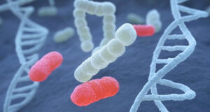 Cancer colorectal : si vous avez été exposé à cette bactérie enfant, le risque augmente