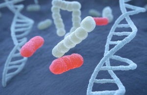 Cancer colorectal : si vous avez été exposé à cette bactérie enfant, le risque augmente