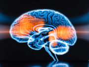 Longues heures de travail : ce que votre cerveau endure en silence