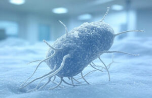 Inquiétude à l’hôpital : cette bactérie se nourrit des implants médicaux… et devient plus résistante