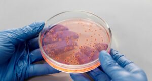 Trop de bactéries fécales : la carte 2025 des plages à éviter pour ne pas tomber malade