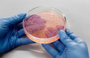 Trop de bactéries fécales : la carte 2025 des plages à éviter pour ne pas tomber malade