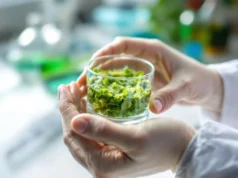 Découverte révolutionnaire pour guérir le foie gras et sauver des millions de vies