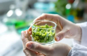 Découverte révolutionnaire pour guérir le foie gras et sauver des millions de vies