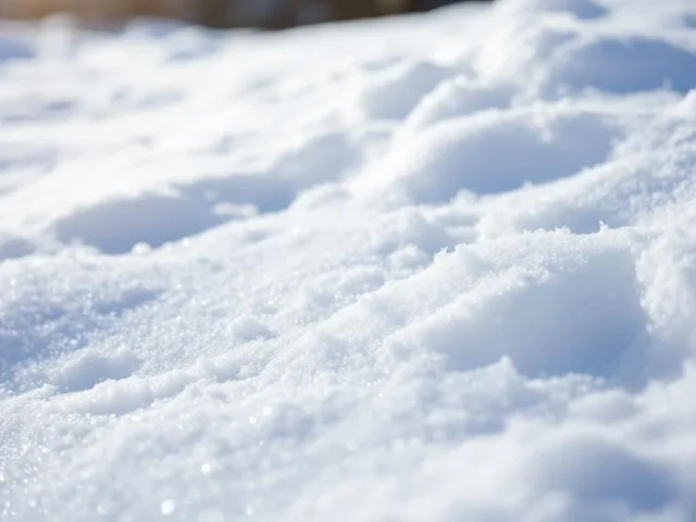 ne-mangez-surtout-pas-la-neige-cette-habitude-peut-1767720503