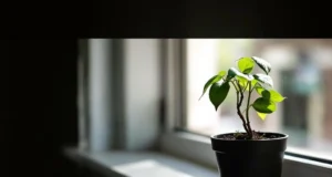 Dépression : ces symptômes physiques insoupçonnés qui vous alertent