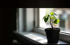 Dépression : ces symptômes physiques insoupçonnés qui vous alertent