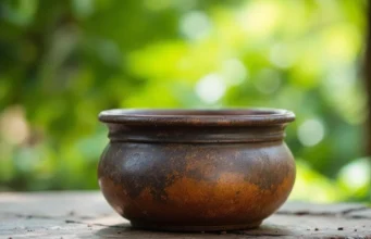 À 125 ans, le doyen du Pérou fascine avec son secret de longévité