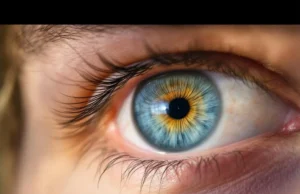 Ce cercle gris dans l’œil pourrait sauver votre cœur