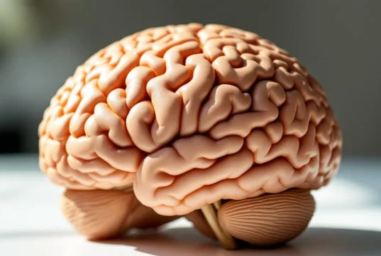 Découverte choc : un cerveau dépressif est 73 % plus etendu que la normale