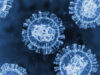 Hantavirus: « Ils n’ont pas pris le problème suffisamment au sérieux », le récit d’un passager à bord