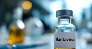 Hantavirus : le pays est-il vraiment prêt après leçons du Covid-19 ?