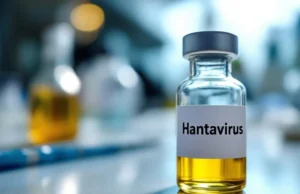 Hantavirus : le pays est-il vraiment prêt après leçons du Covid-19 ?