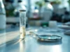 Le hantavirus : un virus mortel connu depuis 2025 qui plane toujours sur nos têtes