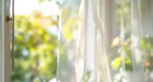 Vigilance maximale : la dengue et Zika menacent la métropole cet été