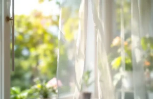 Vigilance maximale : la dengue et Zika menacent la métropole cet été