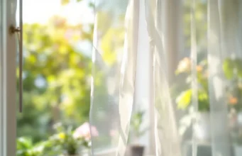 Vigilance maximale : la dengue et Zika menacent la métropole cet été