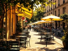 Canicule à Paris : 55 décès en 24h, un record alarmant