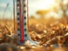 Canicule et AVC : un danger mortel accru pour les femmes