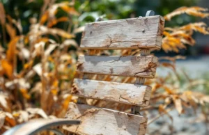 Chaleur Extrême : Pourquoi la Fatigue Nous Abat Si Fortement