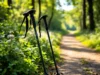 Marche Nordique : la Solution Anti-Dépression Rapide pour Seniors