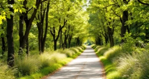 Marcher chaque jour peut freiner Alzheimer