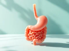 Une bactérie de l’estomac pourrait prévenir Alzheimer découvrez comment