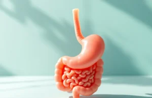 Une bactérie de l’estomac pourrait prévenir Alzheimer découvrez comment