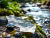 10 conseils indispensables pour une randonnée en toute sécurité cet été