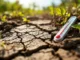 Canicule meurtrière : une hausse alarmante des décès