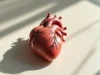 Infarctus : ces risques insoupçonnés qui menacent votre santé