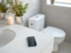 Les Français et leur téléphone aux toilettes un danger pour votre santé