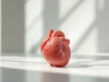 Péricardite : comment cette inflammation menace votre cœur