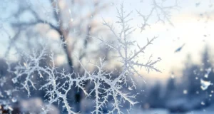 Froid constant : un signe à ne pas ignorer selon une experte