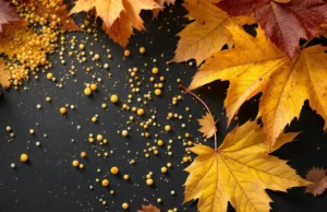 Pollen toute l’année : l’automne aussi menace vos allergies