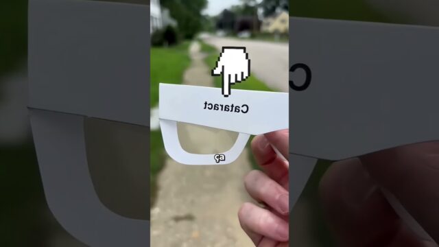 Ce Qu'Une Personne Aveugle Voit Réellement